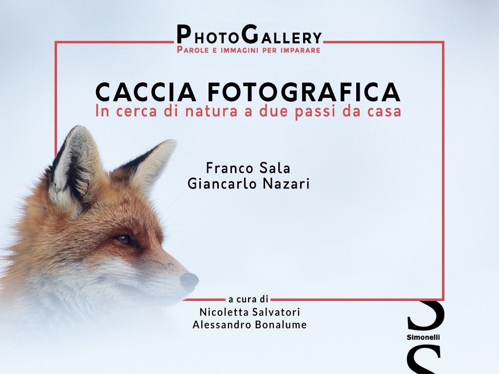Caccia fotografica
