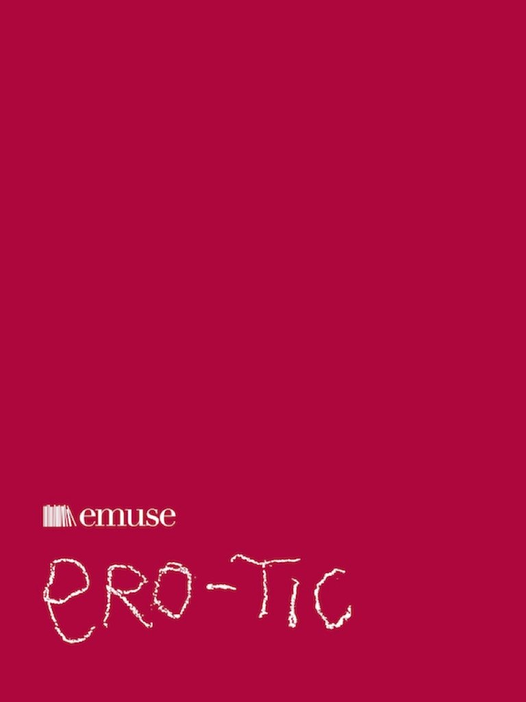 Ero-tic — immagine del progetto